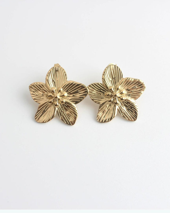 Boucles d&