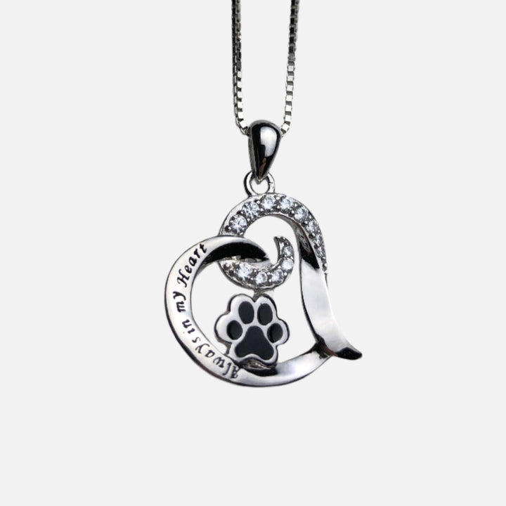 Collier Mémorial Élégant pour Chien en Acier Inoxydable
