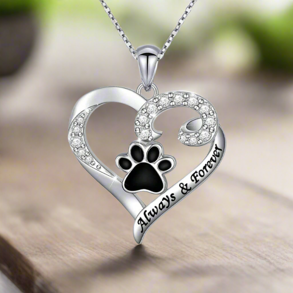 Collier Patte de Chien – Design en Cœur en Acier Inoxydable avec Zirconium