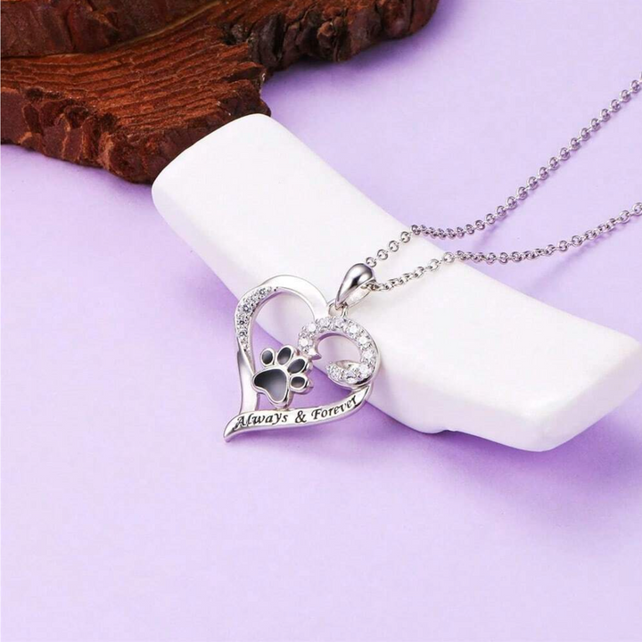 Collier Patte de Chien – Design en Cœur en Acier Inoxydable avec Zirconium