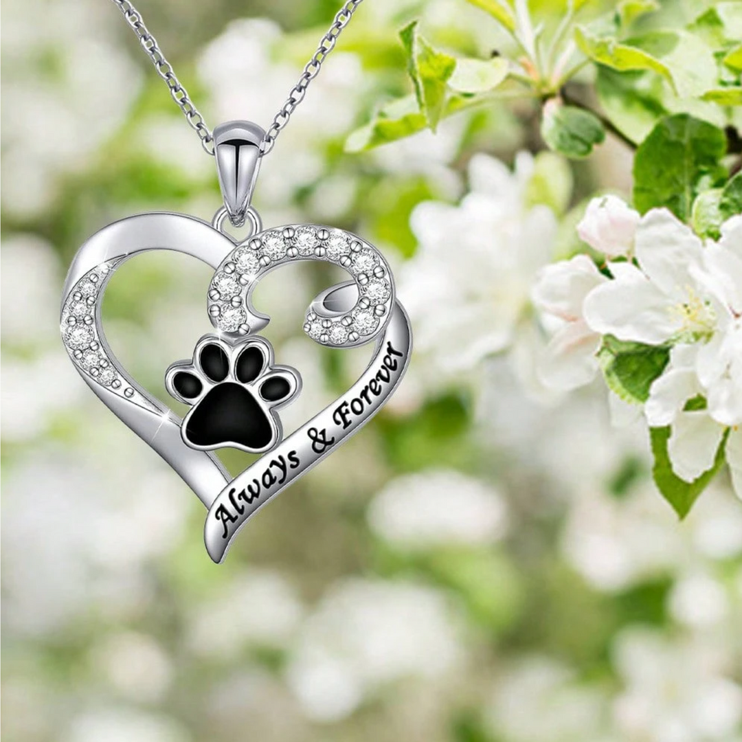 Collier Patte de Chien – Design en Cœur en Acier Inoxydable avec Zirconium
