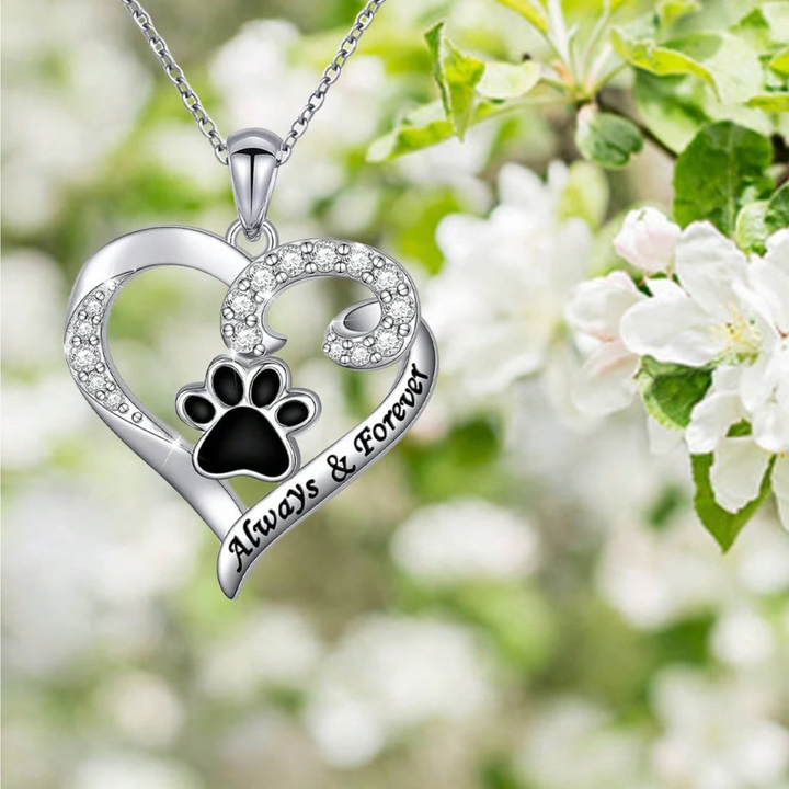 Collier Patte de Chien – Design en Cœur en Acier Inoxydable avec Zirconium