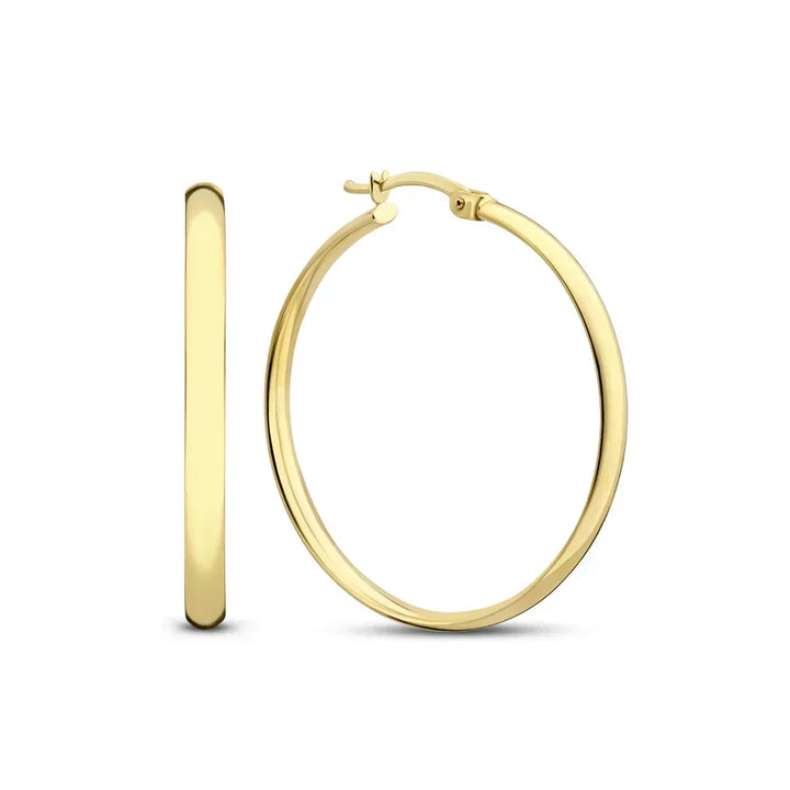 Serane Gold Earrings