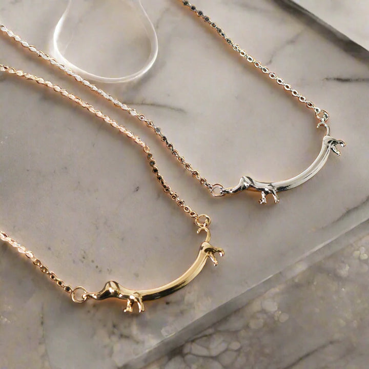 Collier en métal doré Teckel