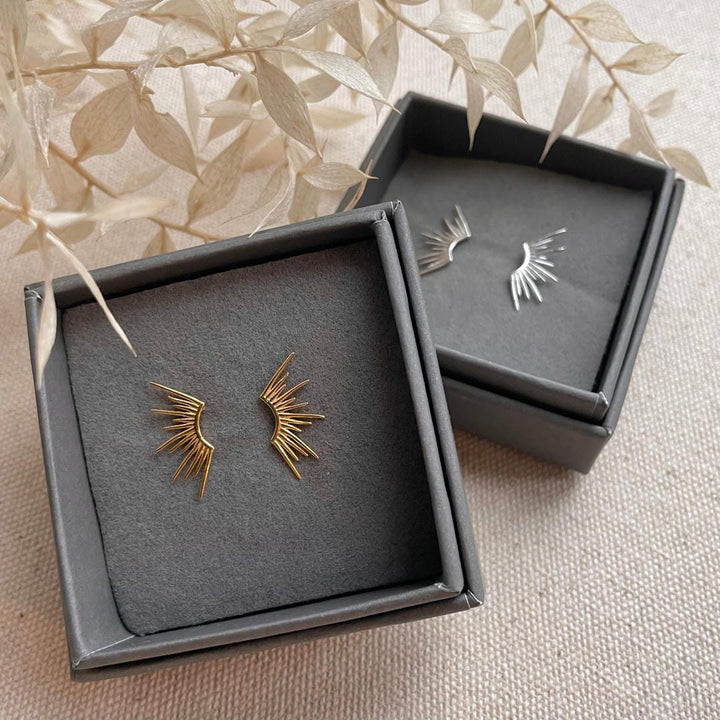 Clous Ray en Or ou en Argent