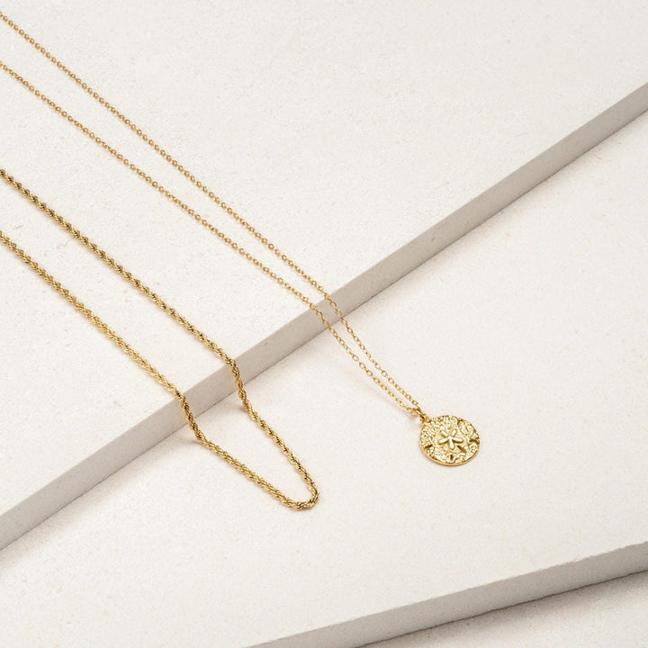 Collier Charme Dollar de Sable