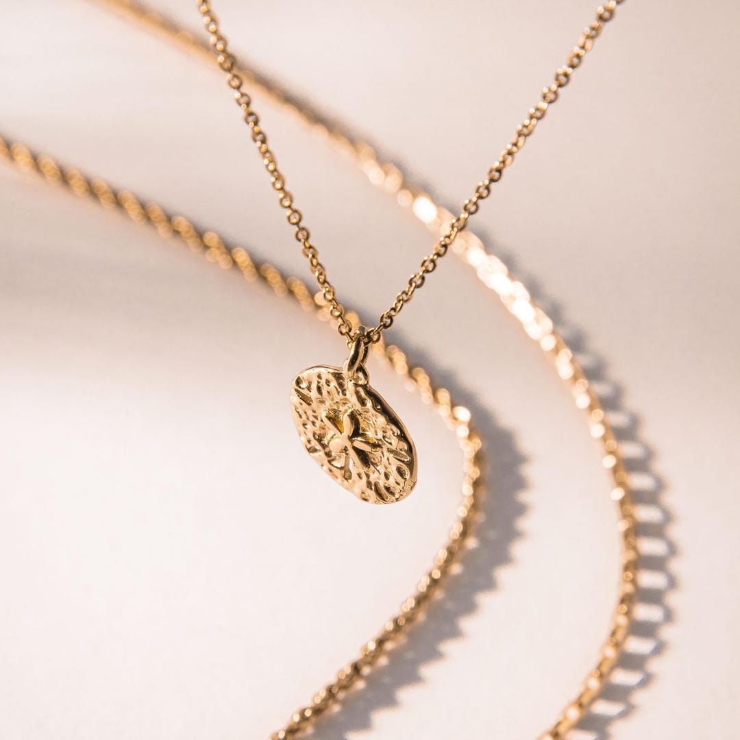 Collier Charme Dollar de Sable